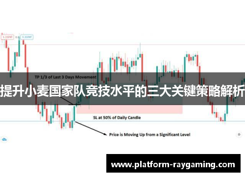 提升小麦国家队竞技水平的三大关键策略解析