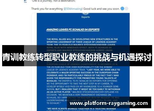青训教练转型职业教练的挑战与机遇探讨