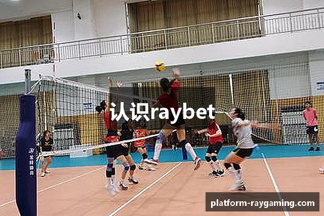 认识raybet